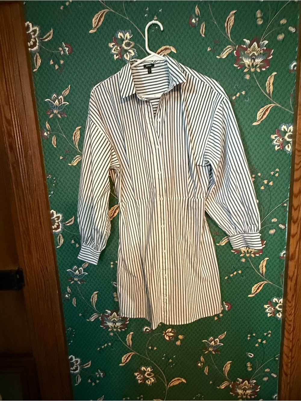 Express White and Navy Striped Button-Down Dress